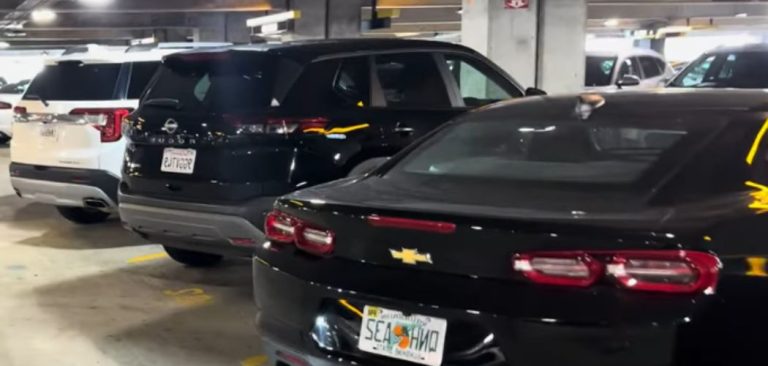 Hertz Premium vs. Luxury Rental